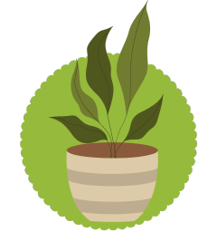 Herbs & Medicinal Plants