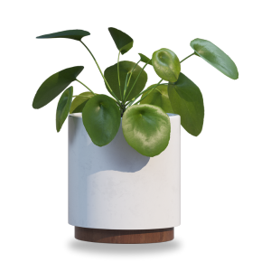 Corporate Plant Rentals